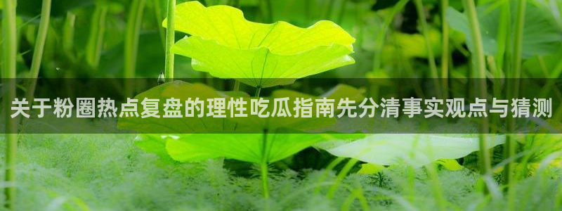 黑料爆料热点:关于粉圈热点复盘的理性吃瓜指南先分清事实观点与猜测