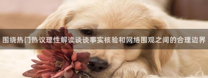 黑料热门话题：围绕热门热议理性解读谈谈事实核验和网络围观之间的合理边界