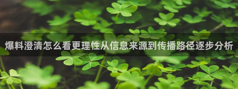 最新事件爆料：爆料澄清怎么看更理性从信息来源到传播路径逐步分析