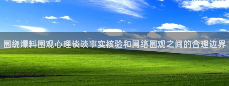 黑料爆料事件:围绕爆料围观心理谈谈事实核验和网络围观之间的合理边界