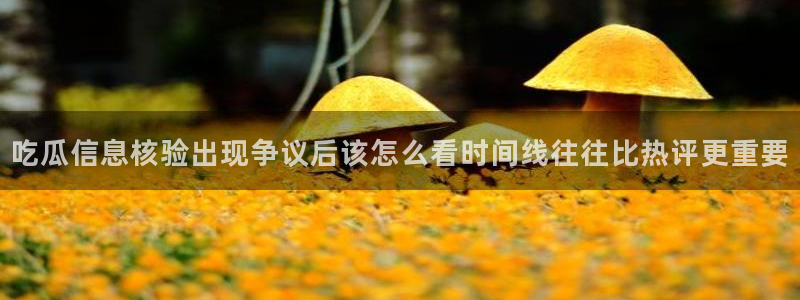 黑料热点资讯:吃瓜信息核验出现争议后该怎么看时间线往往比热评更重要