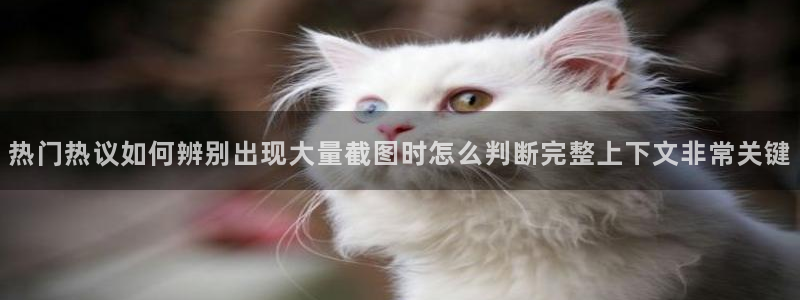 黑料爆料今日事件盘点