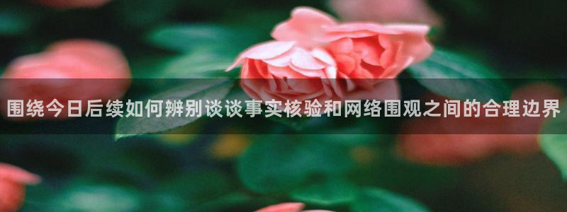 热点爆料网：围绕今日后续如何辨别谈谈事实核验和网络围观之间的合理边界