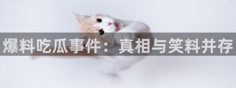 黑料爆料信息